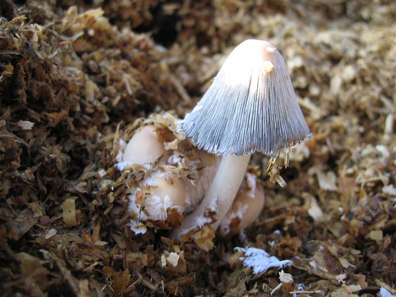 Escursione del  sabato pomeriggio